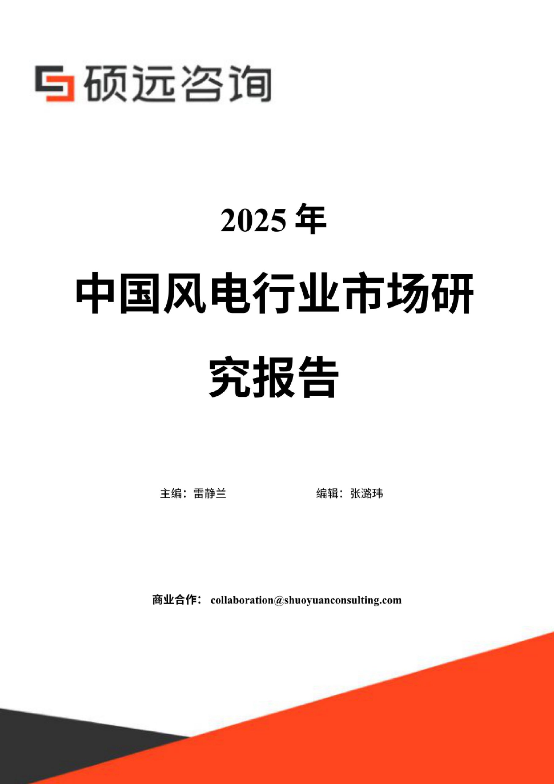 2025年中国风电行业市场研究报告.pdf 第1页