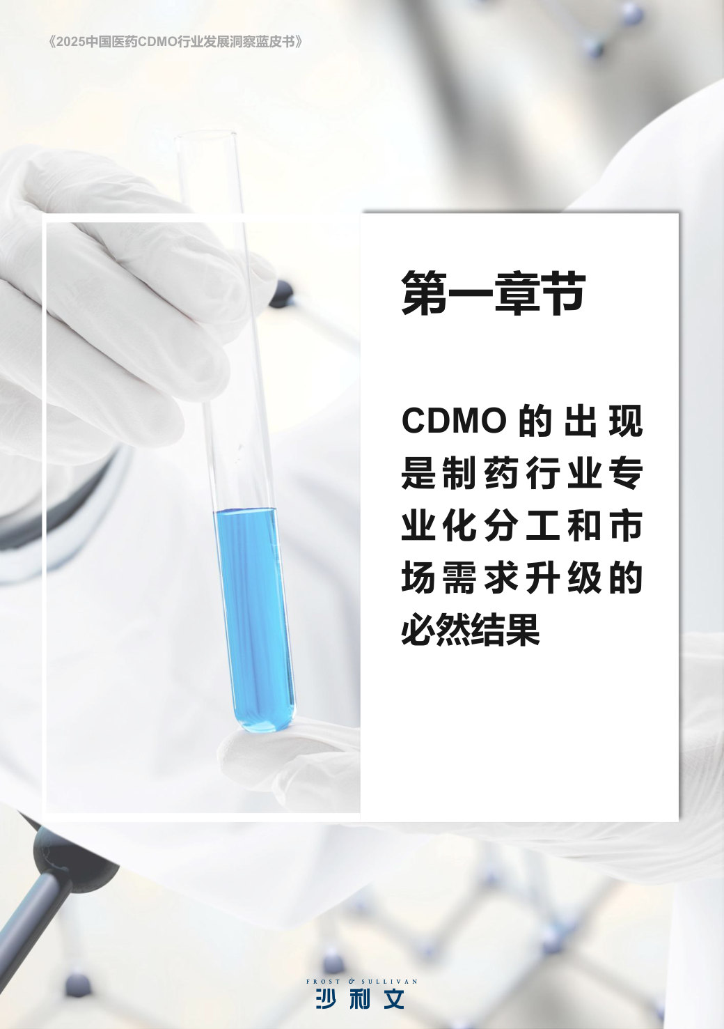 2025中国医药CDMO行业发展洞察蓝皮书.pdf 第5页