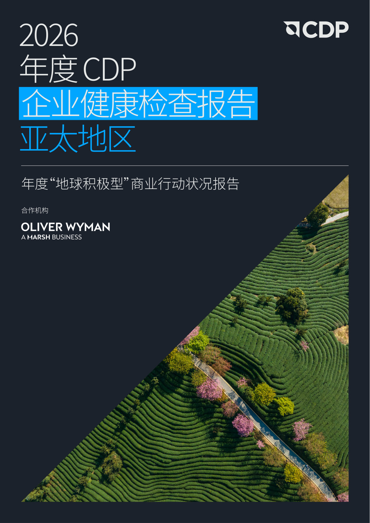 2026 年度CDP 企业健康检查报告亚太地区.pdf 第1页