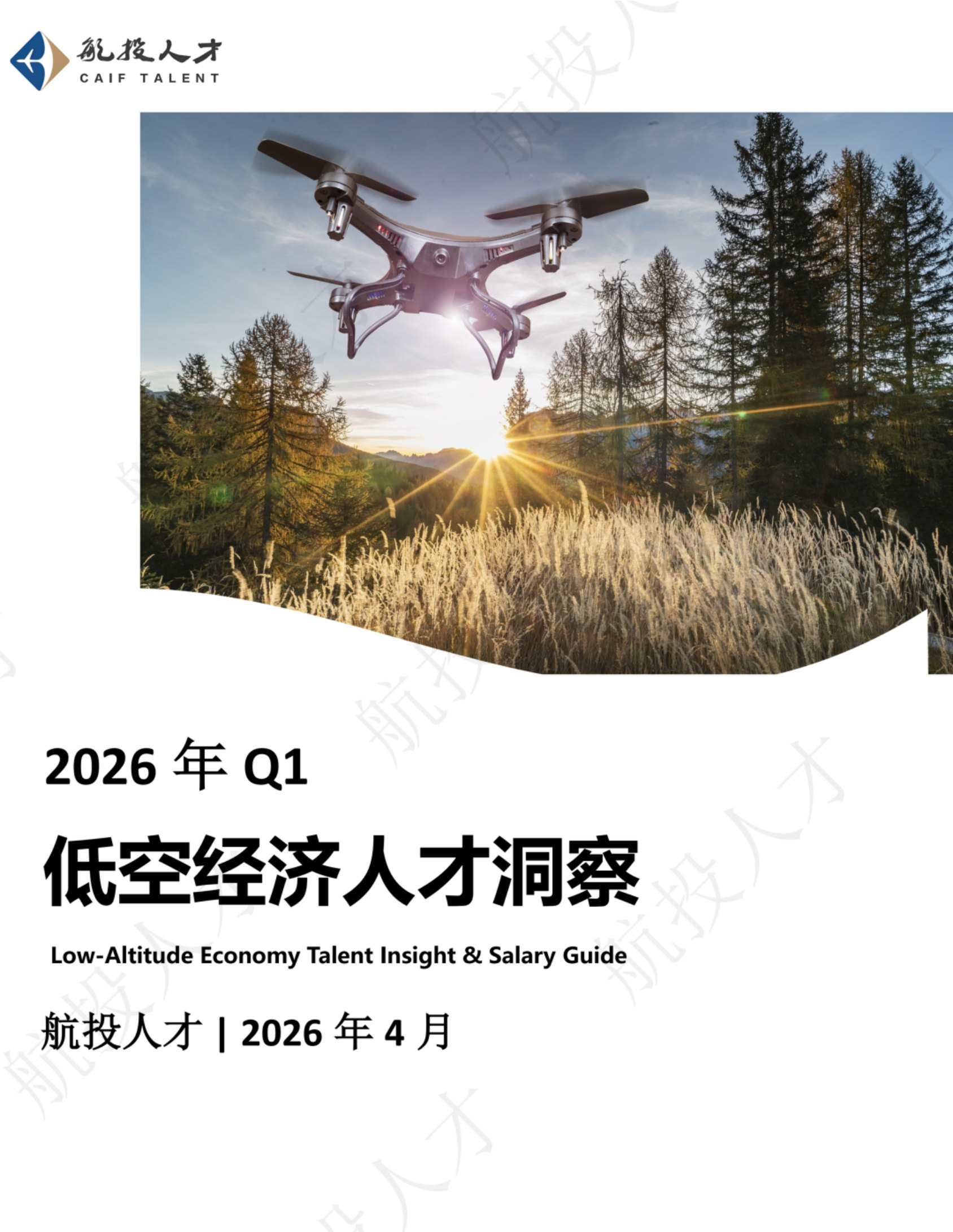 2026年Q1中国低空经济人才市场洞察与薪酬指南.pdf 第1页