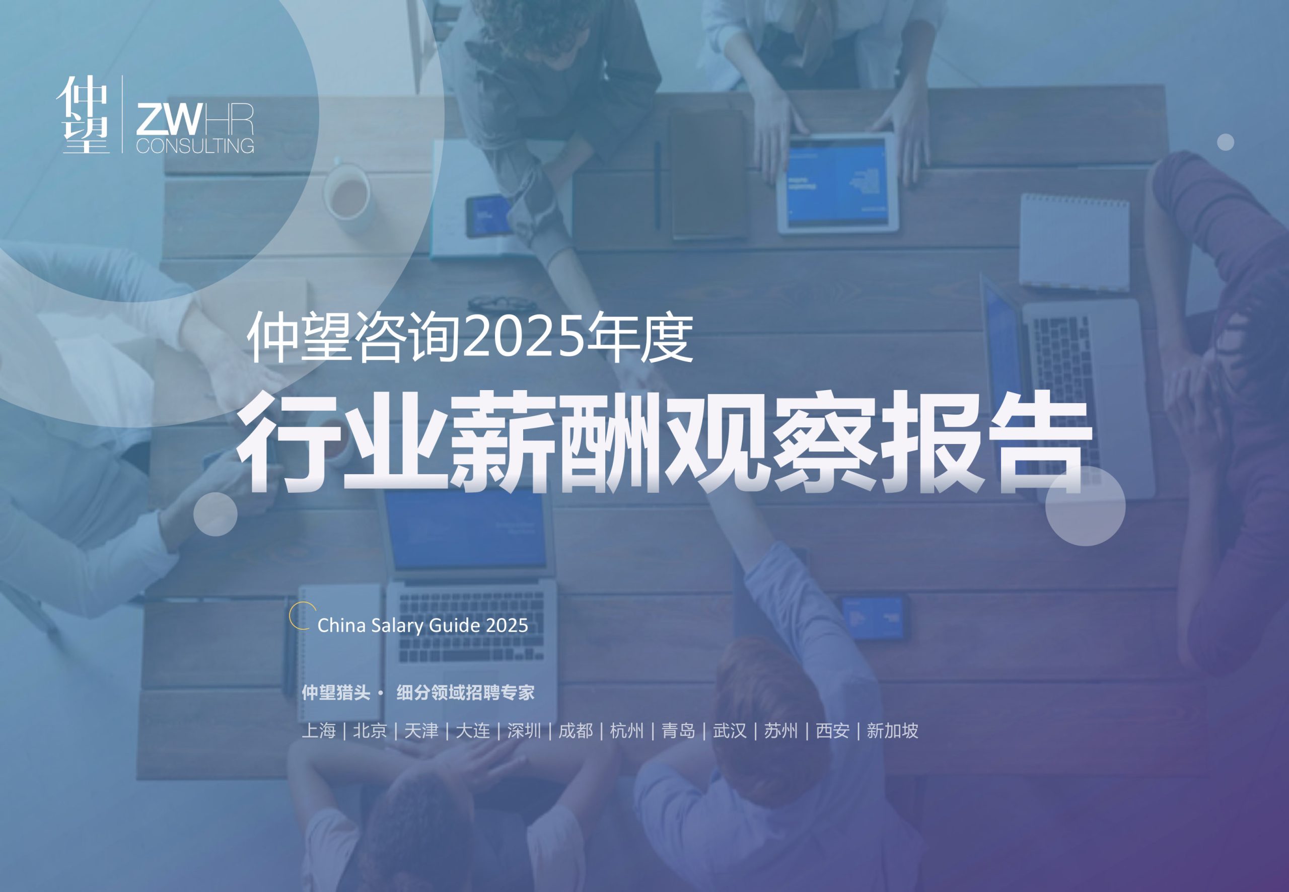 616_仲望咨询《2025年度行业薪酬观察报告》.pdf 第1页