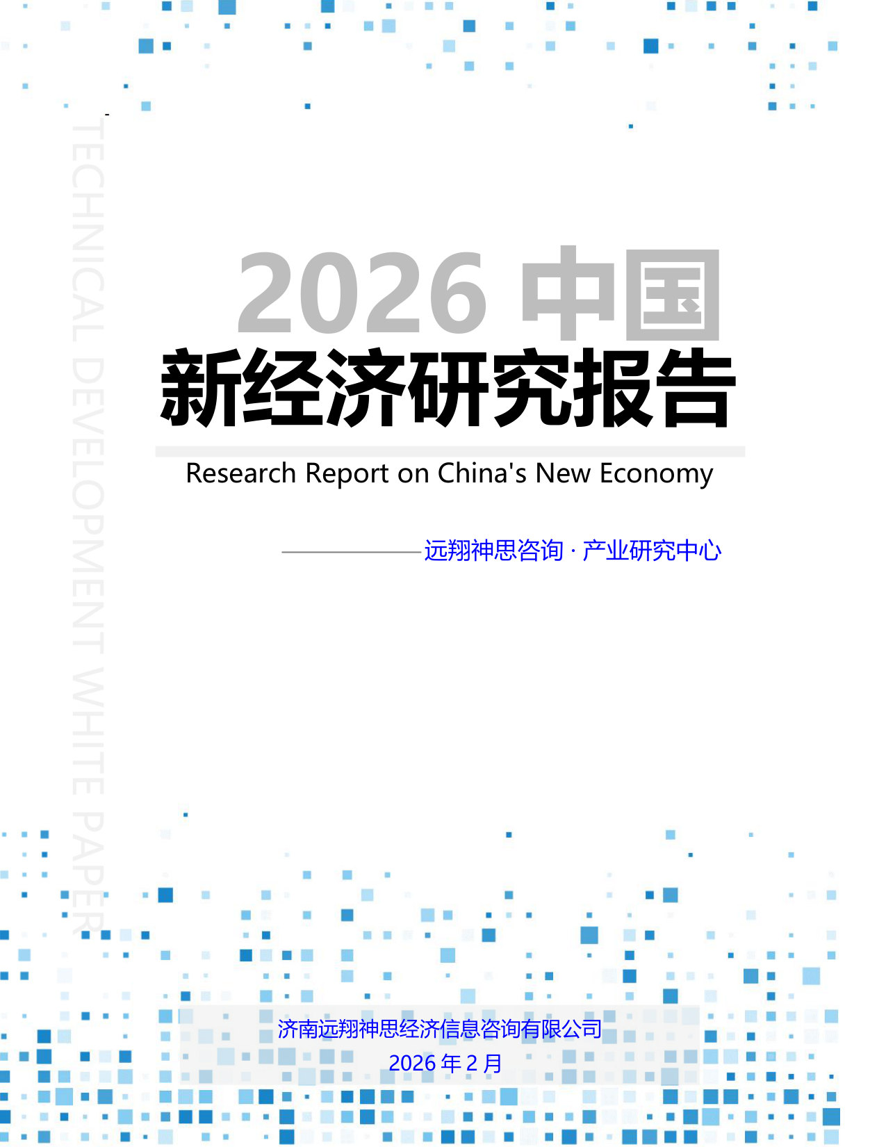 2026年中国新经济研究报告.pdf 第1页