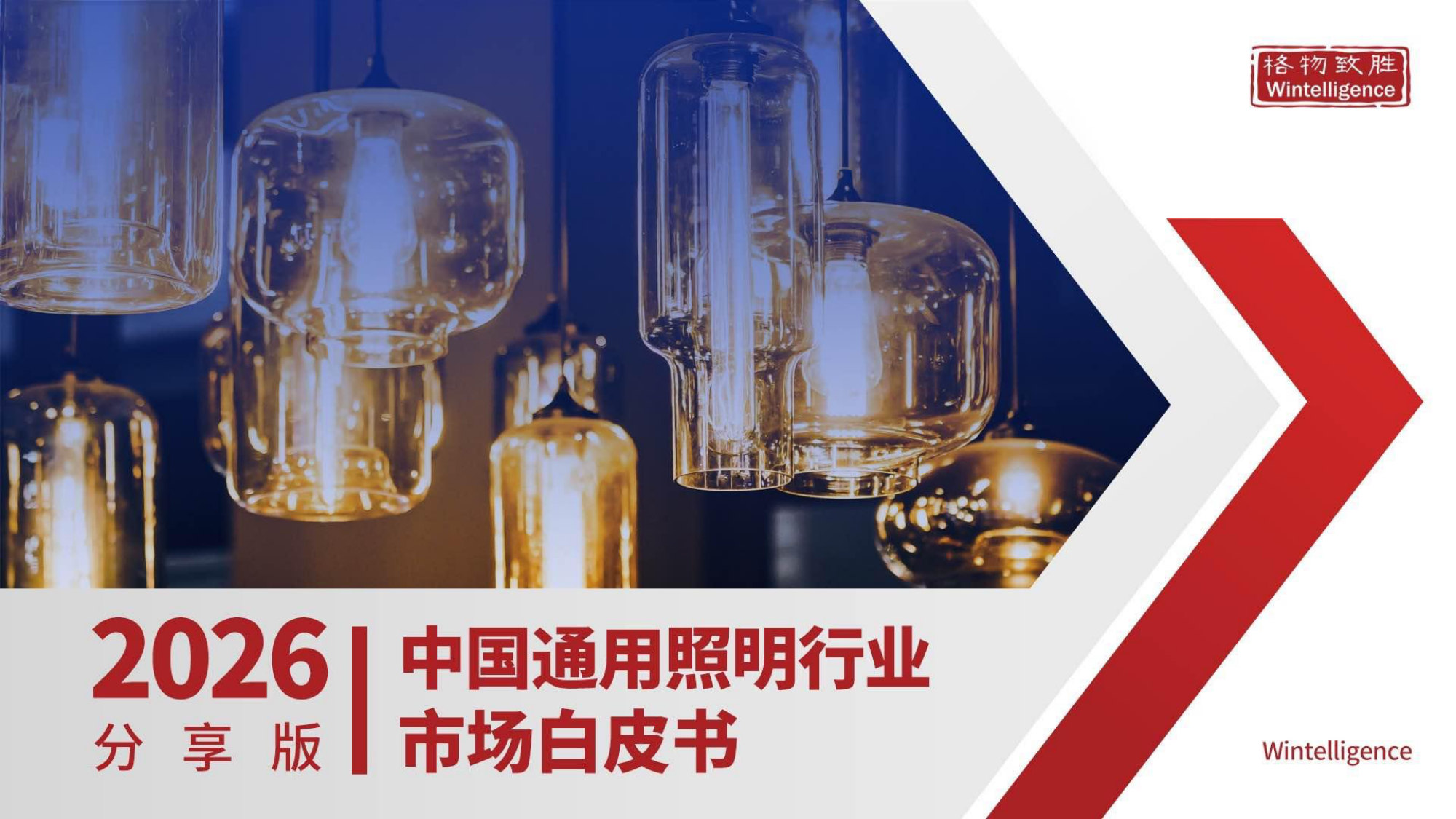 2026年中国通用照明市场白皮书-格物致胜.pdf 第1页