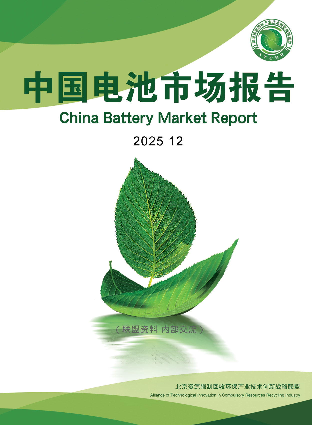 2025年中国电池市场报告.pdf 第1页