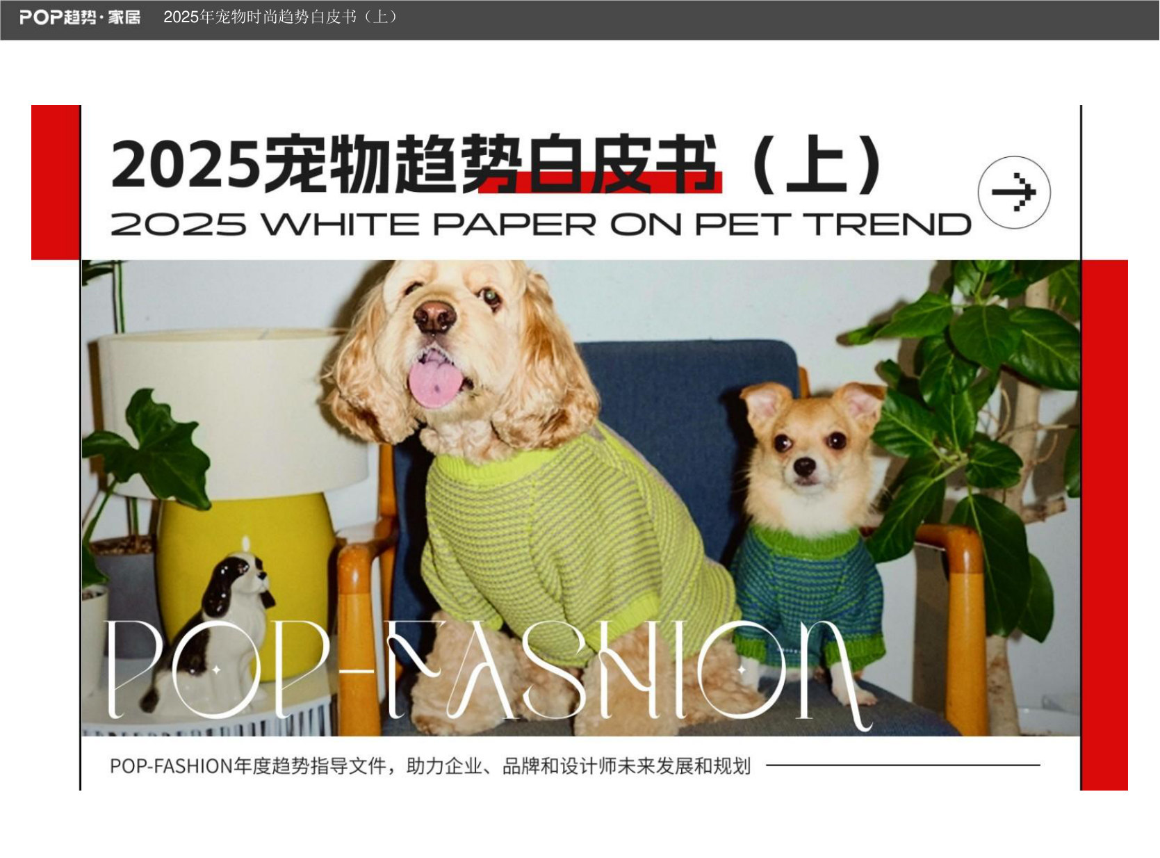 2025年宠物时尚趋势白皮书（上）.pdf 第1页