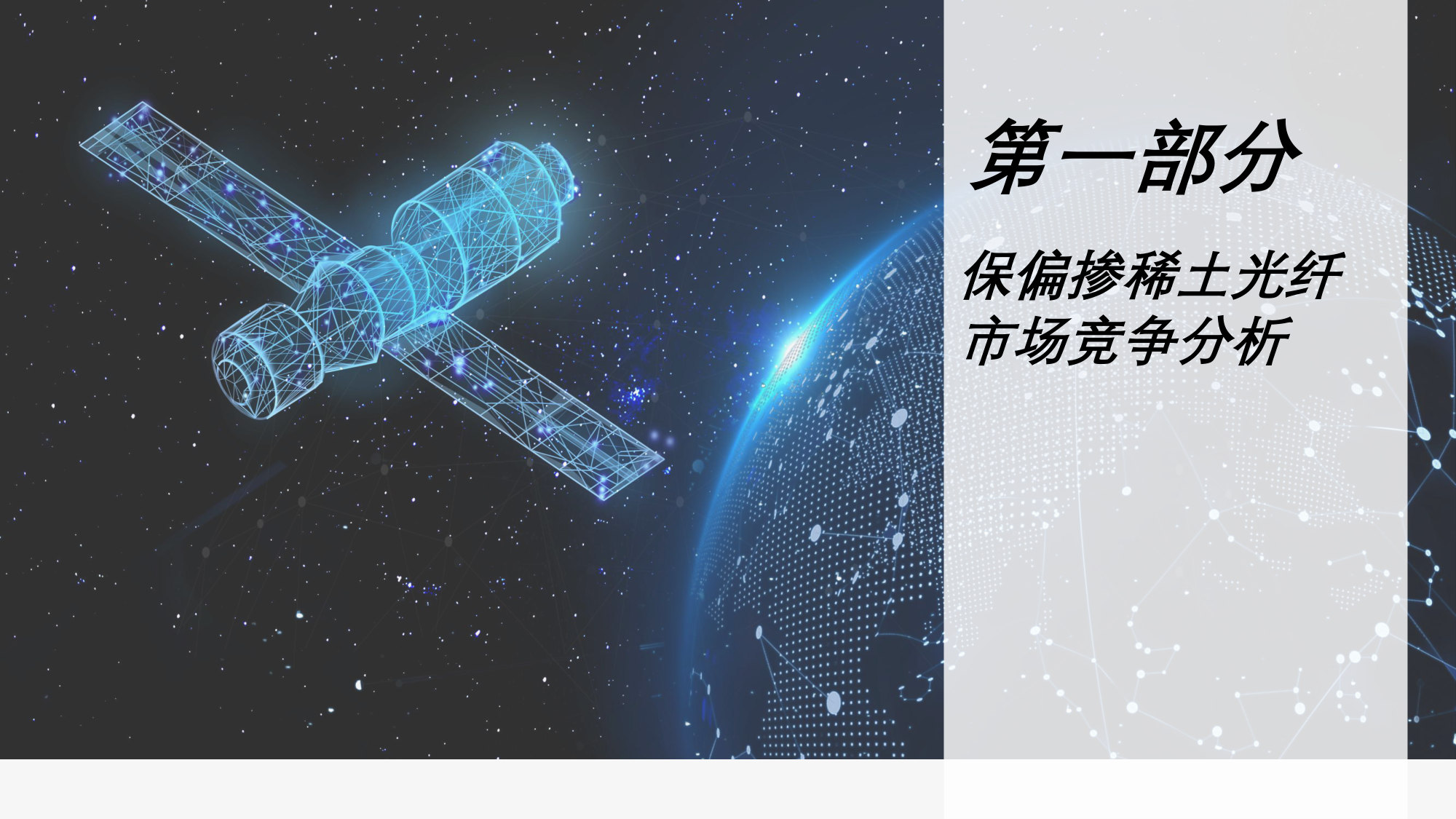 2026年中国掺稀土光纤企业研究.pdf 第2页