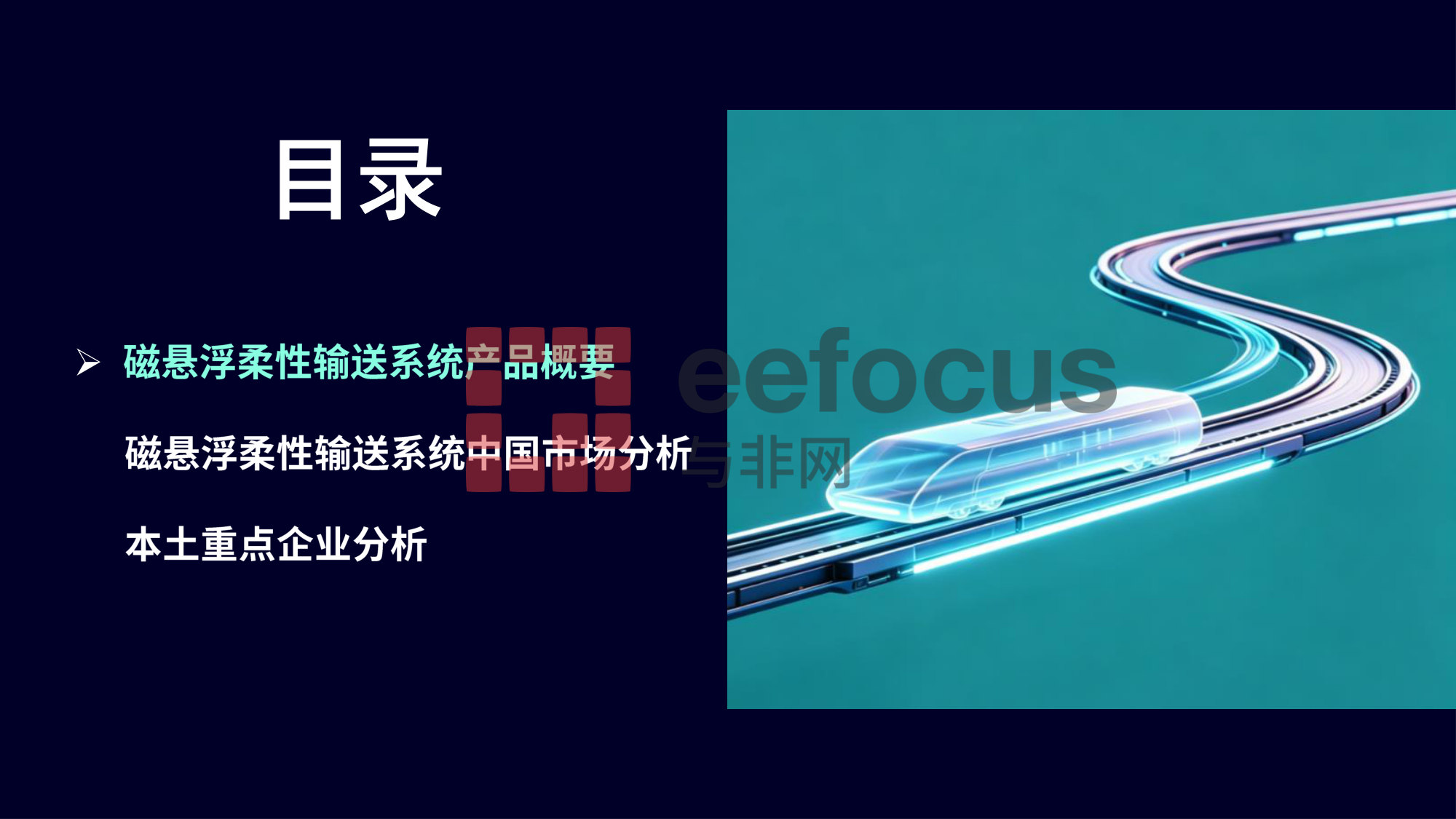 2026年中国磁悬浮柔性输送系统研究报告.pdf 第2页