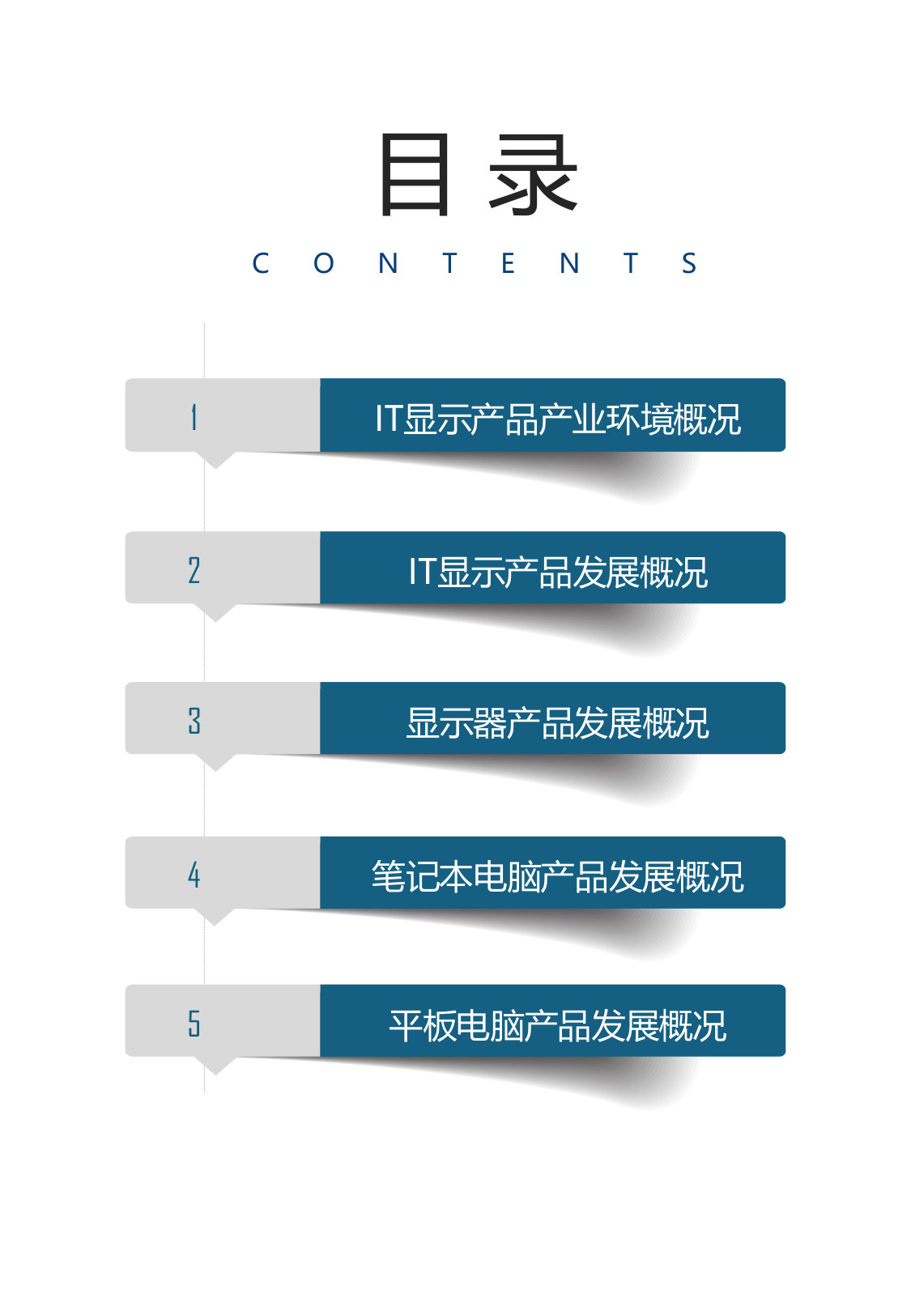 2025年IT显示产品市场调研报告（节选）.pdf 第2页