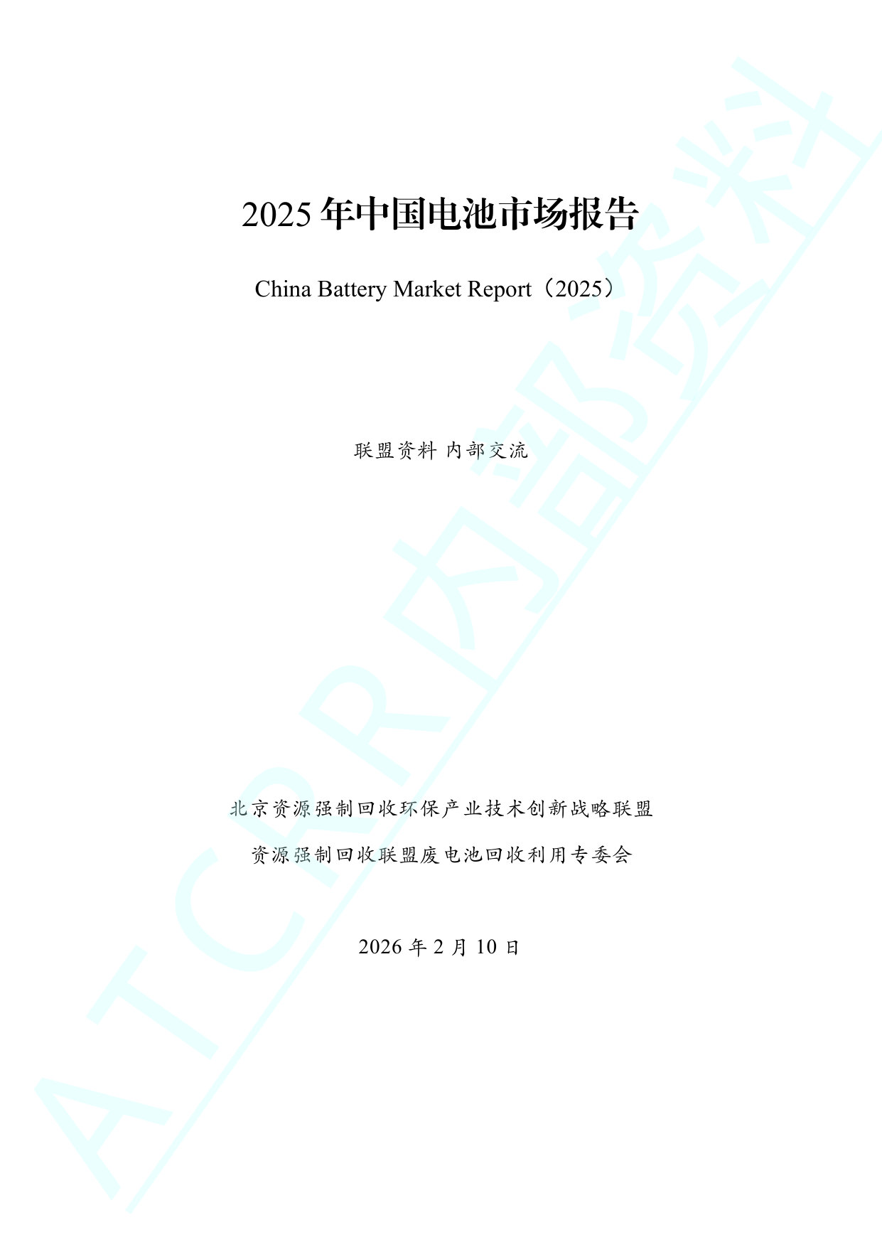 2025年中国电池市场报告.pdf 第2页