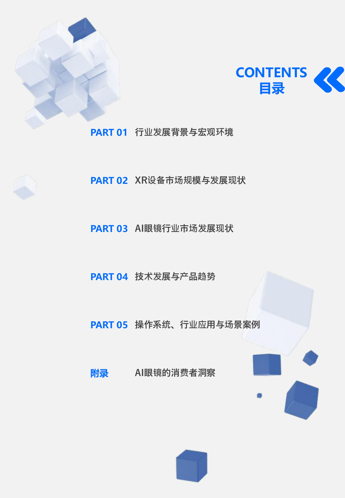 2025年全球及中国XR设备和AI眼镜市场前景分析报告(节选).pdf 第2页