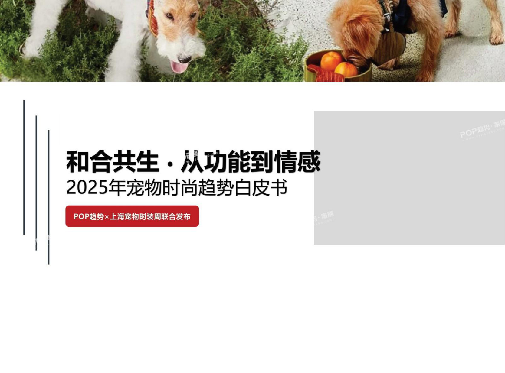 2025年宠物时尚趋势白皮书（上）.pdf 第2页