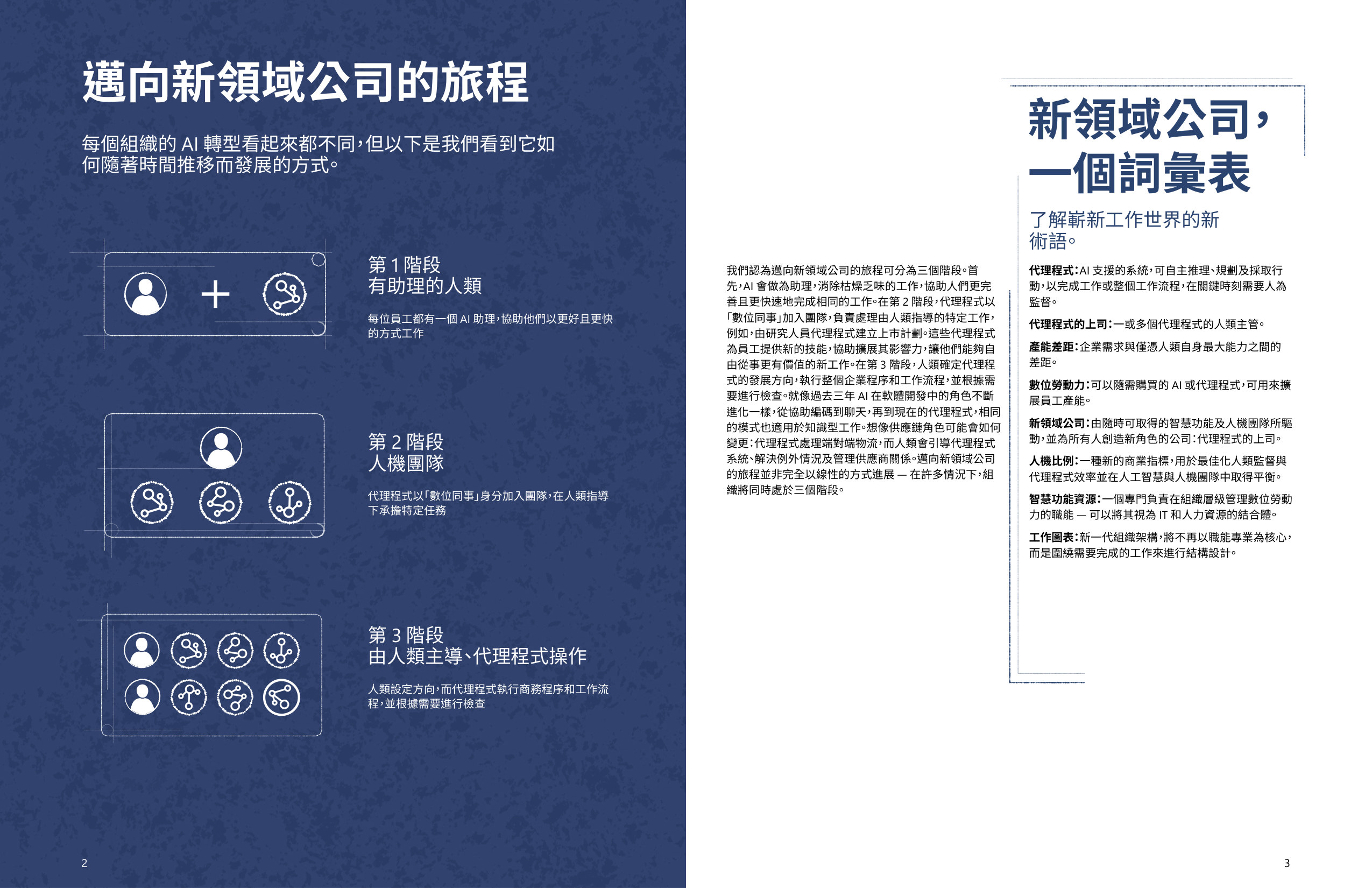 2025新領域公司誕生的一年.pdf 第3页
