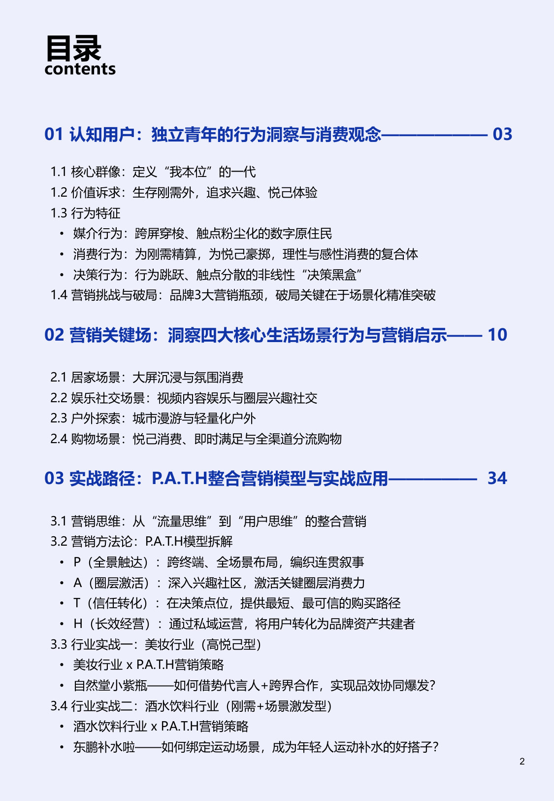 2025独立青年整合营销白皮书.pdf 第3页