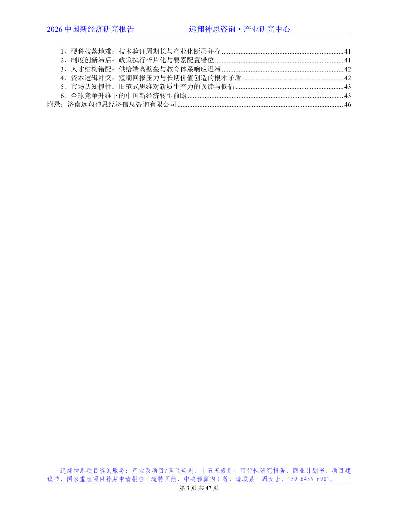 2026年中国新经济研究报告.pdf 第3页
