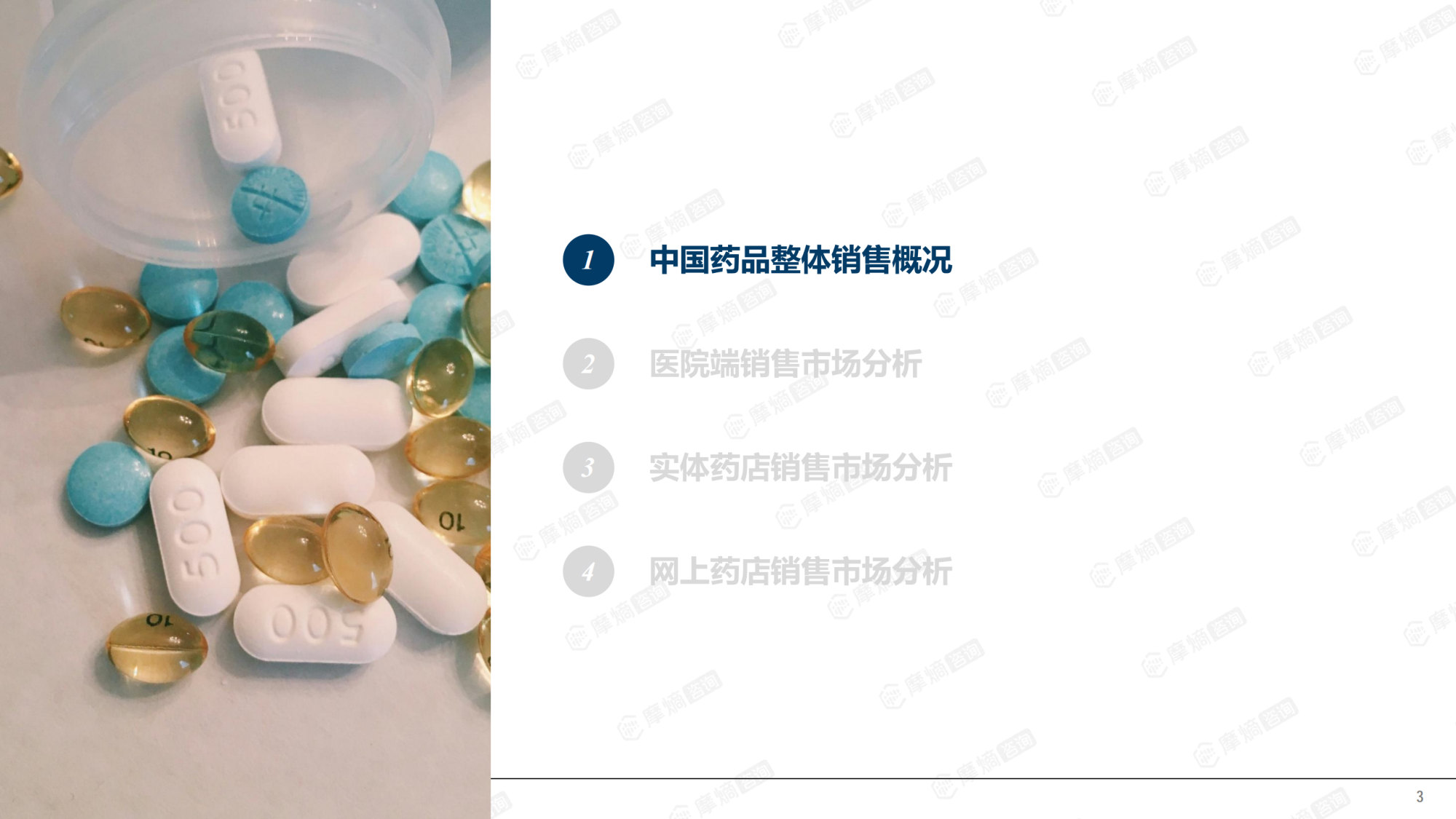 2025年中国药品销售市场分析报告.pdf 第3页