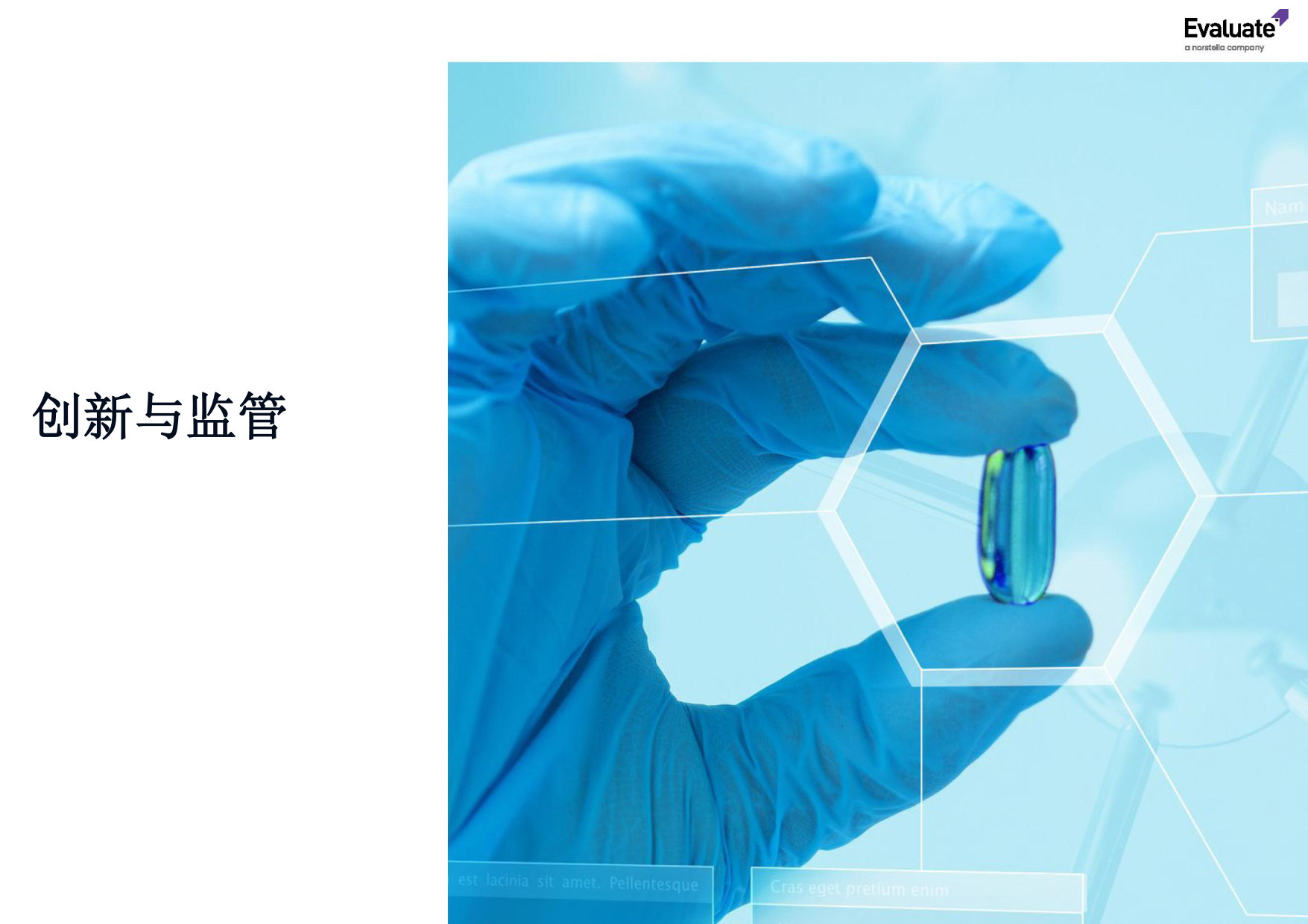 2026-preview.pdf 第5页