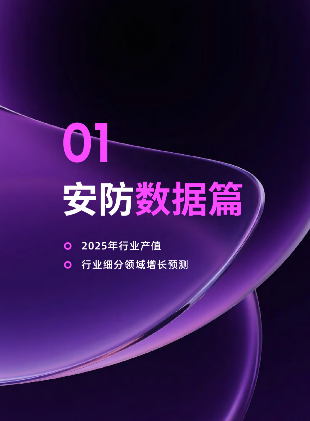 2025-2026年度中国安防行业调查报告.pdf 第5页