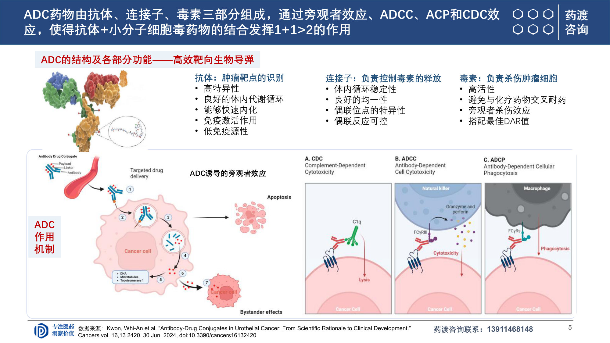 619_ADC研发全球格局与下一代演进趋势.pdf 第5页