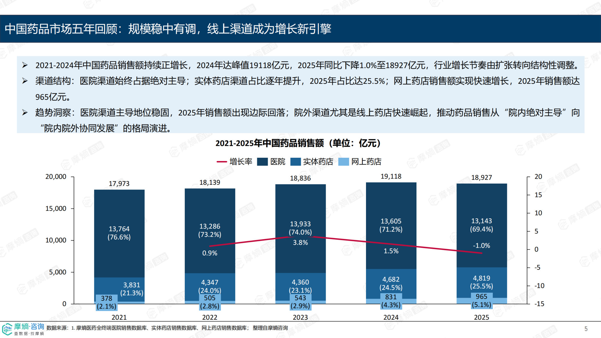 2025年中国药品销售市场分析报告.pdf 第5页