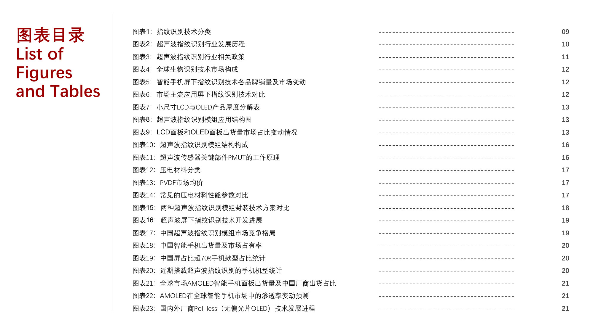 2025年中国超声波指纹识别行业概览.pdf 第5页