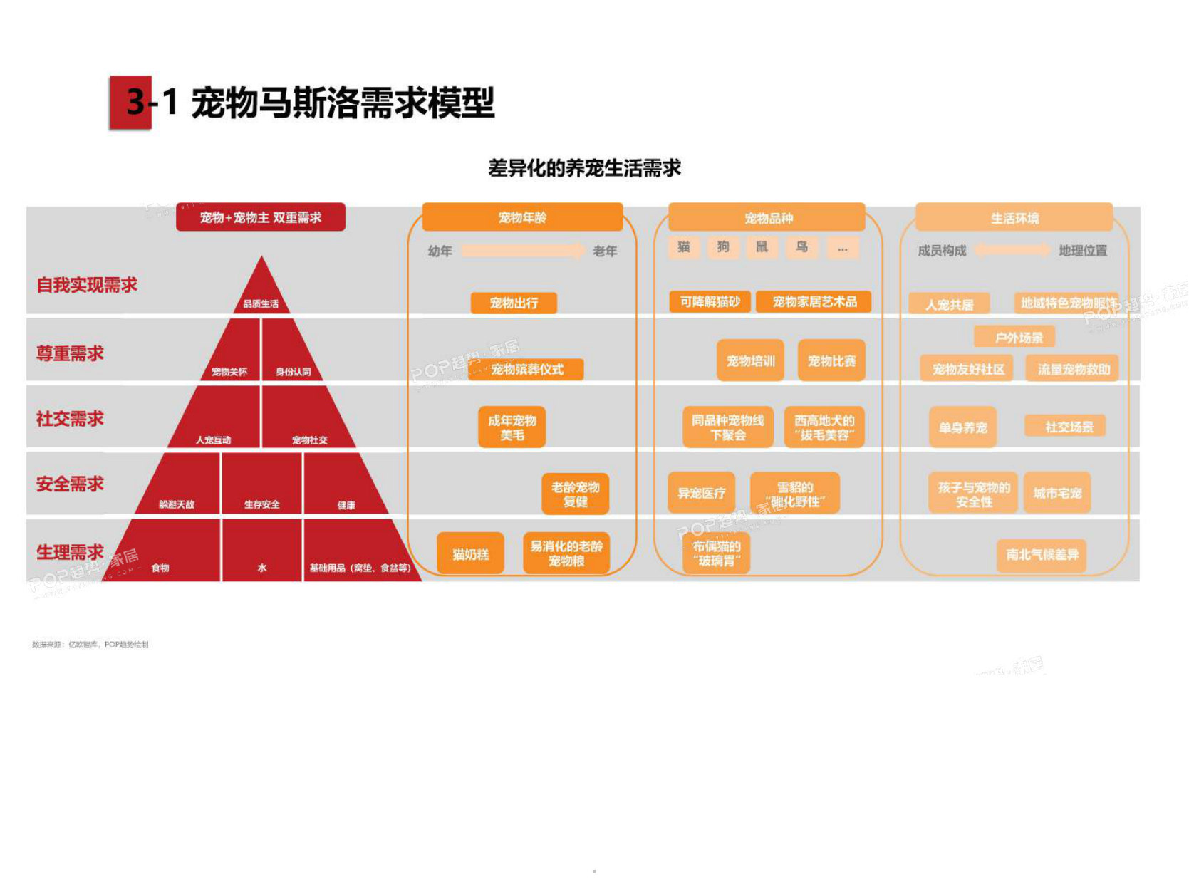 2025年宠物时尚趋势白皮书（下）.pdf 第5页