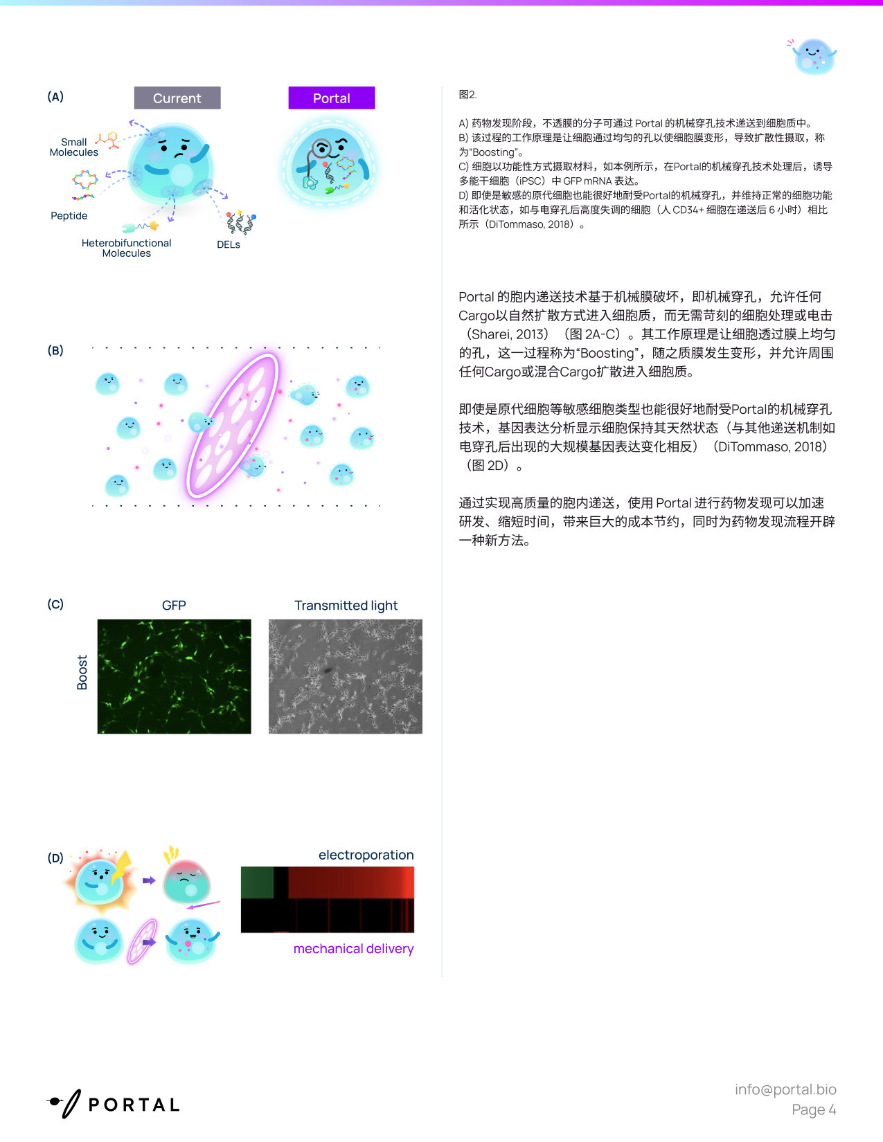 2026药物发现白皮书-攻克透膜性难题胞内递送技术开启药研新时代.pdf 第4页