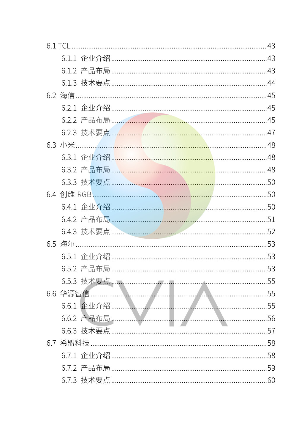 《2025Mini LED背光显示产业白皮书》(节选).pdf 第5页