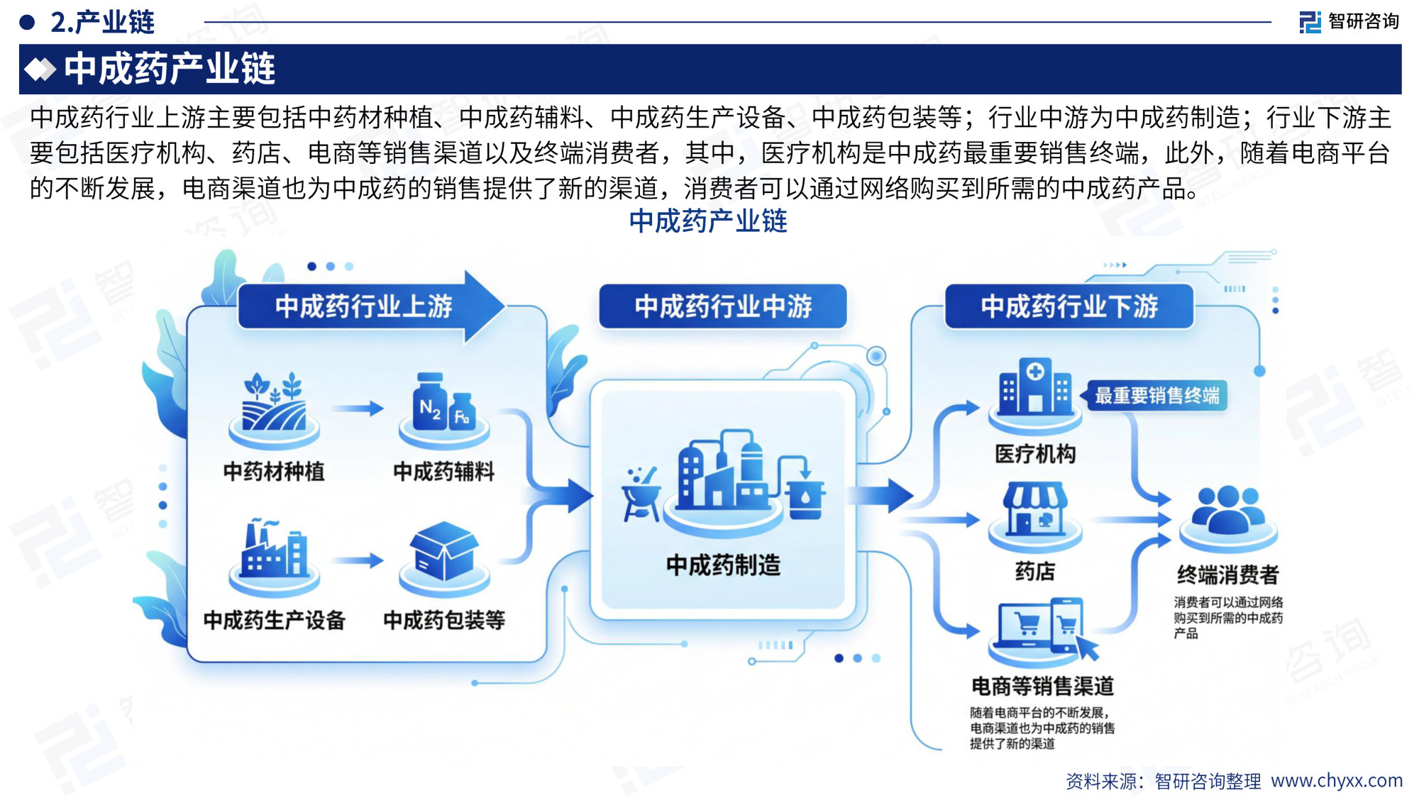2026版全球与中国中成药产业供需贸易全景调研及重点国家出口前景评估报告.pdf 第5页