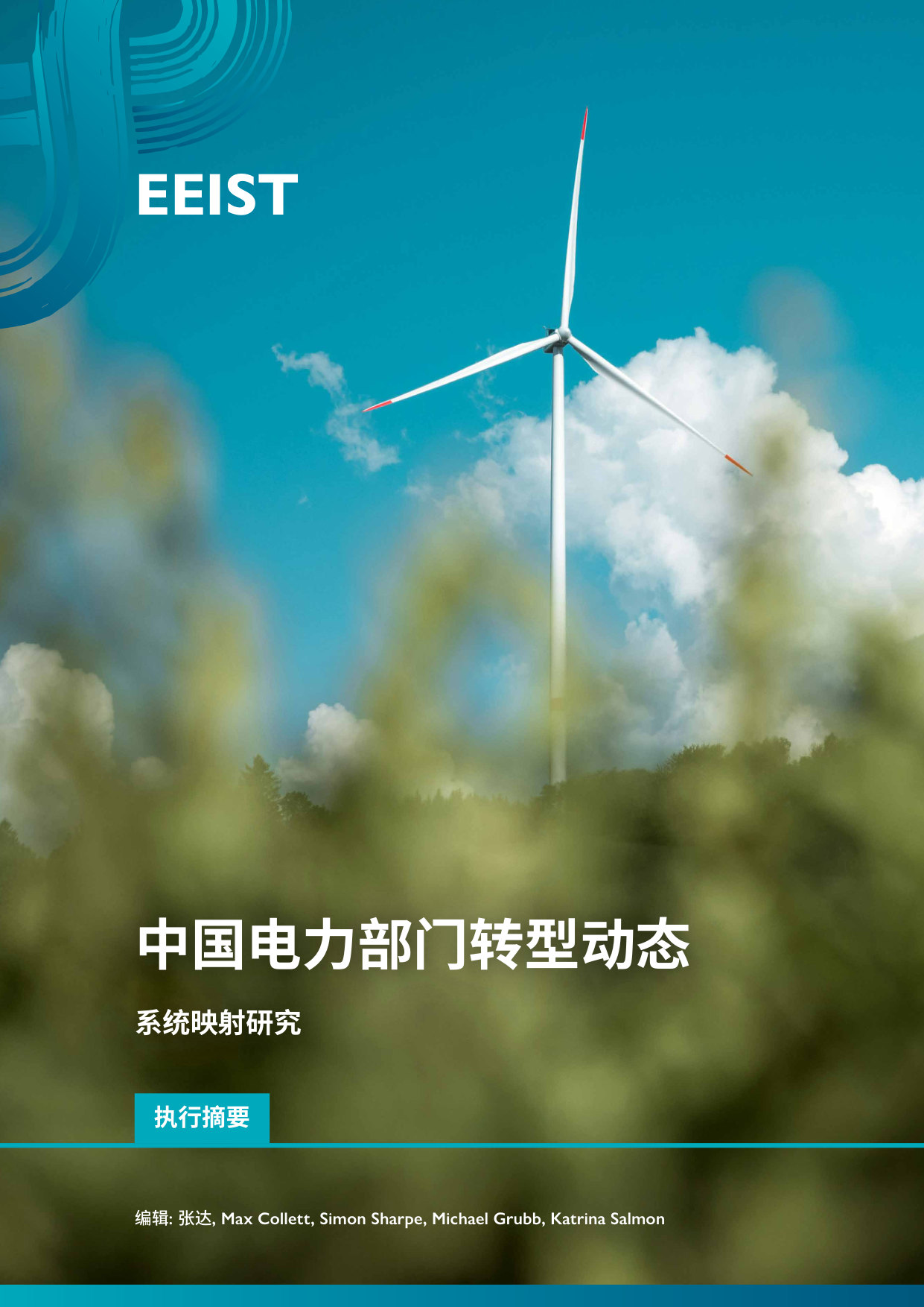 中国电力部门转型动态.pdf 第1页