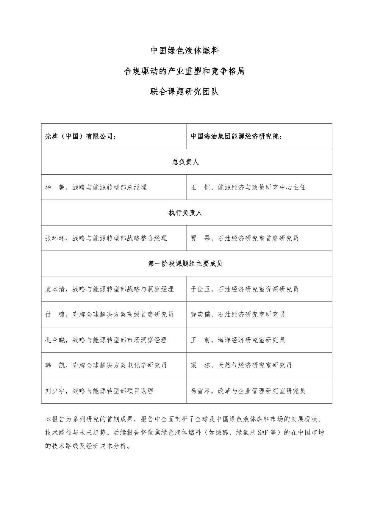 中国绿色液体燃料—合规驱动的产业重塑与竞争格局.pdf 第2页