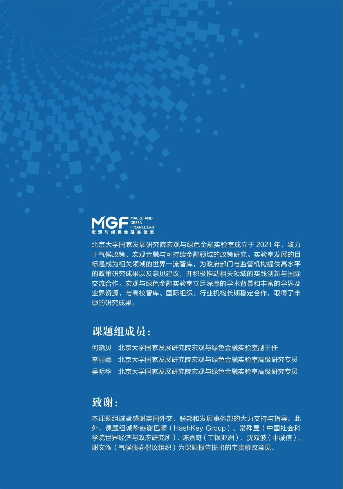 中国地方政府债券绿色化： 撬动全球绿色资本的关键路径.pdf 第2页