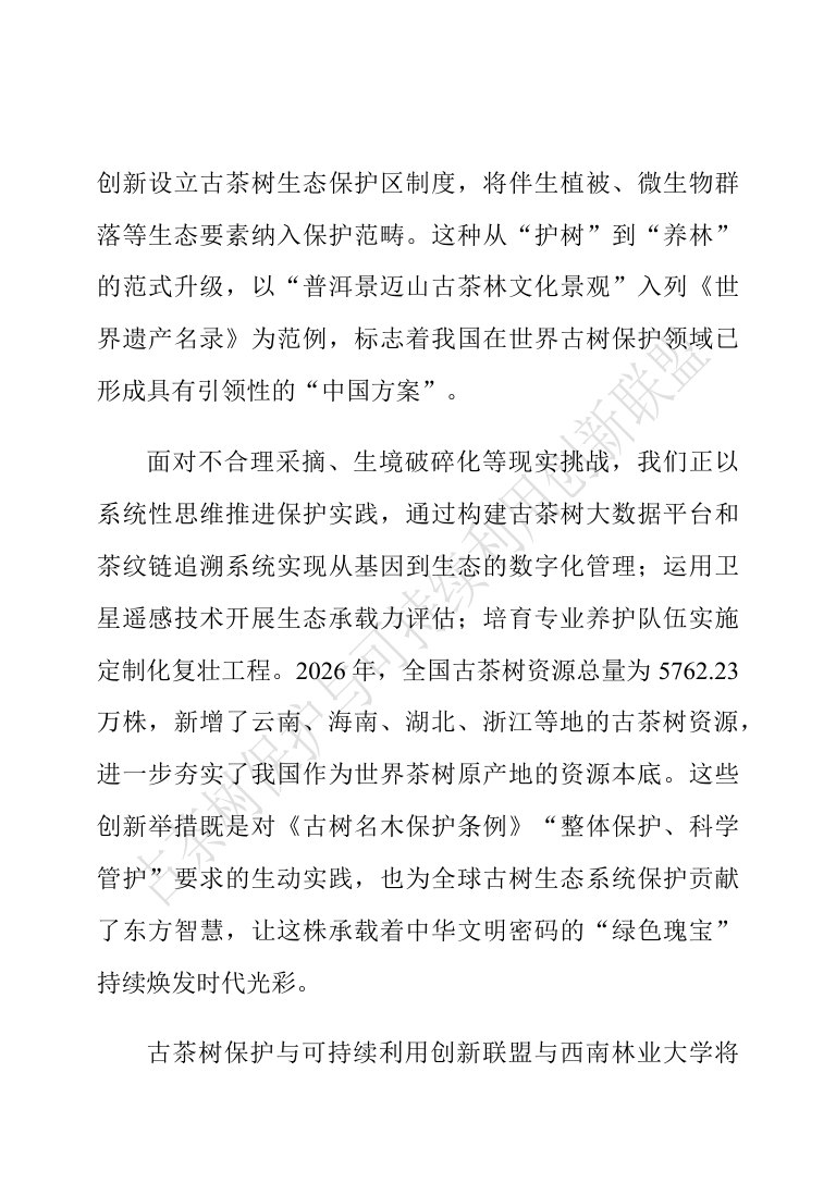 中国古茶树资源状况白皮书（2026）.pdf 第4页