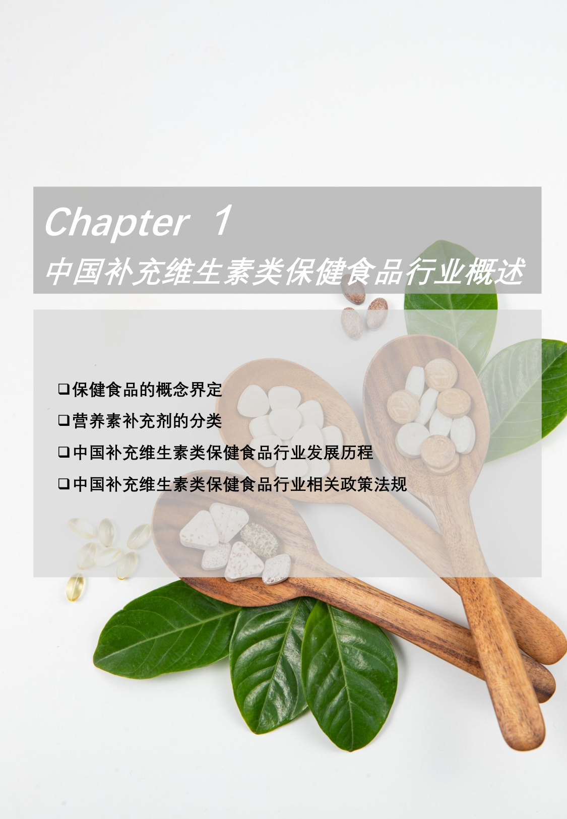 中国补充维生素类保健食品行业概览报告.pdf 第5页